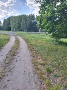 Działka,Tanowo,0.3143ha,plan-rolna.
