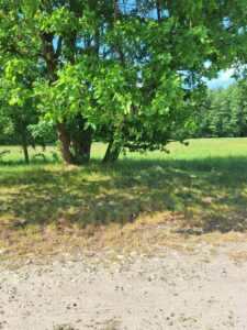 Działka Tanowo,0.3144ha,plan zagospod.-rolna.
