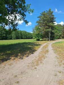 Działka Tanowo,0.3362ha,plan miejsc.-rolna.