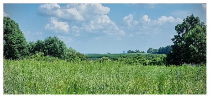 Działka, ładny widok, na wzniesieniu, Barnisław !!