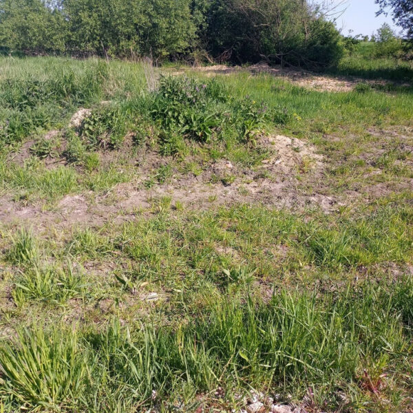 Skolwin-działka pod zabudowę -1566mkw -365tys.zł