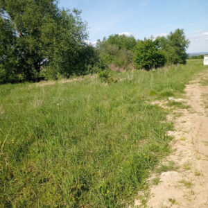 Skolwin-działka pod zabudowę -1566mkw -365tys.zł