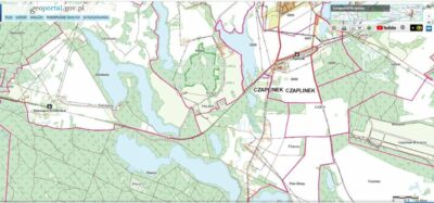 Dz.0.3393ha,Żelisławie,gmCzaplinek,J.Kaleńskie,las