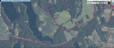 Dz.0.3393ha,Żelisławie,gmCzaplinek,J.Kaleńskie,las