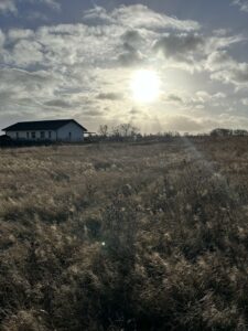 Działka budowlana 1027 m² z WZ! Studnia na działce | Zakup BEZ PCC!