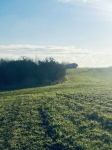 Teren pod inwestycję/kameralne osiedle nad rzeką
