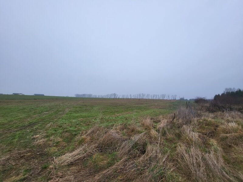 Działki 3000 m2 / Warzymice