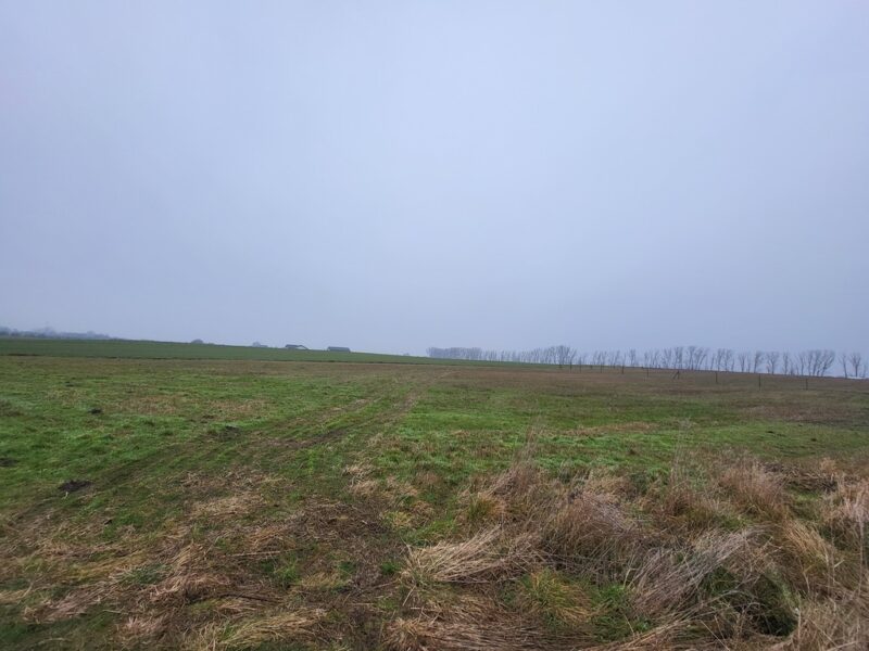 Działki 3000 m2 / Warzymice