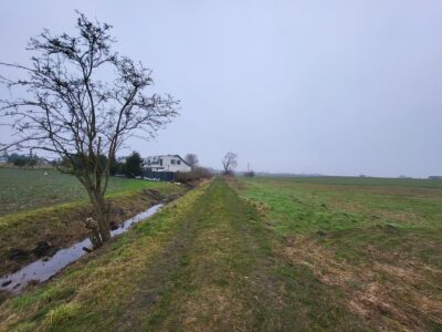 Działki 3000 m2 / Warzymice