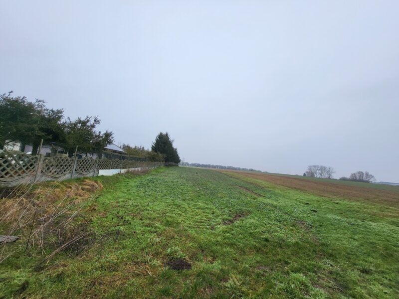 Warzymice / działki po 3000 m2