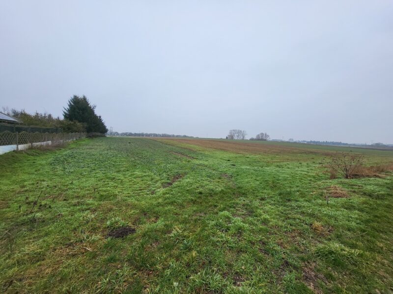 Warzymice / działki po 3000 m2