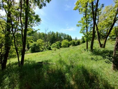 Działka w otulinie lasu nieopodal Odry