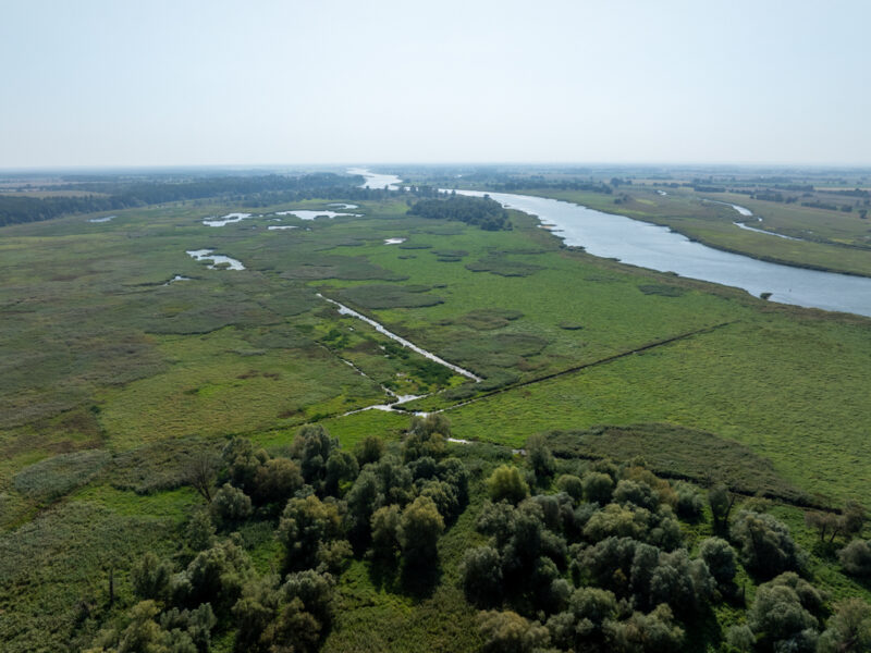 Działka w otulinie lasu nieopodal Odry