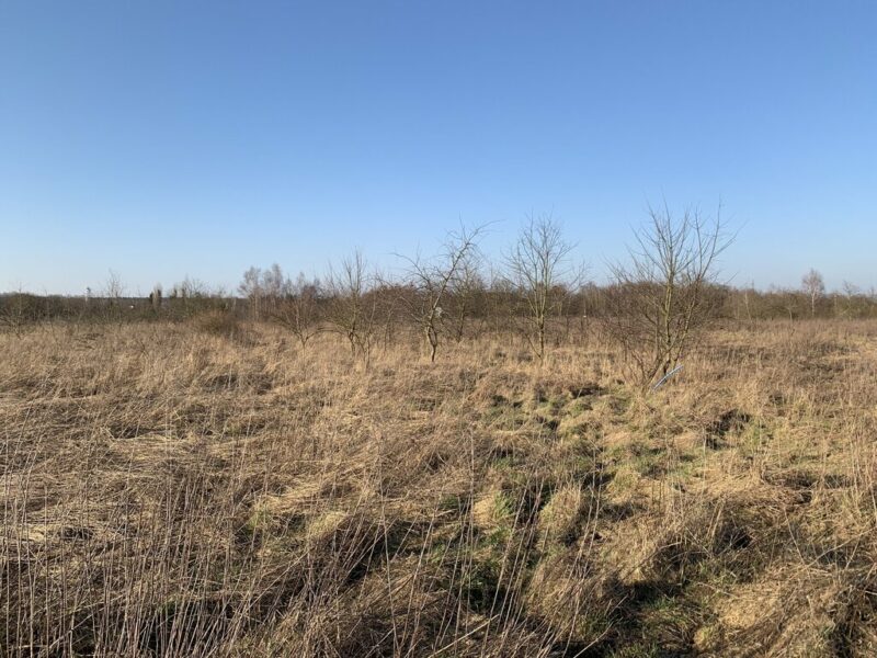 Działki inwestycyjne pod Goleniowem