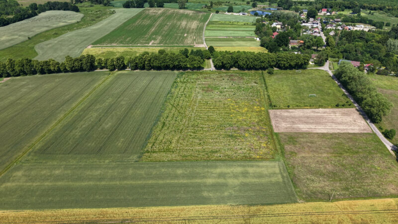 Działki budowlane 20 km od morza!
