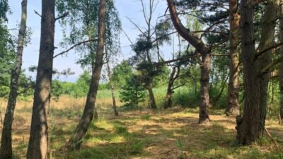 Działka nad morzem