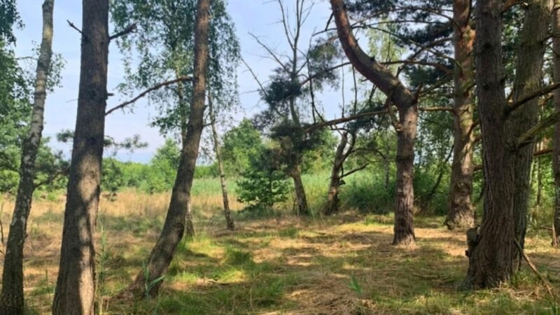 Działka nad morzem