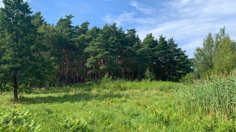 Działka nad morzem
