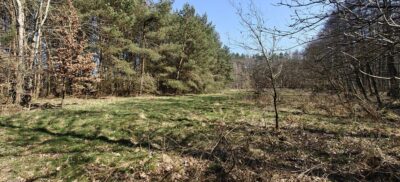 Działka siedliskowa z warunkami zabudowy