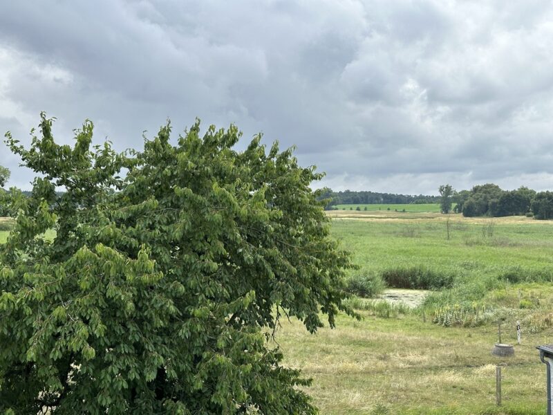 Bismark klimatyczny dom wsród zieleni