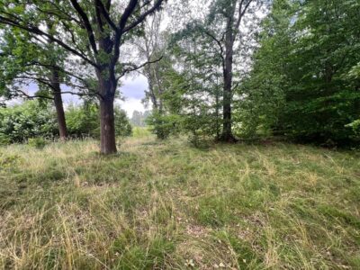 Storkowo, działka 3566 m2 z mediami