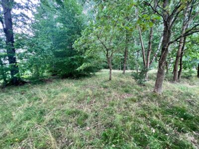 Storkowo, działka 3566 m2 z mediami