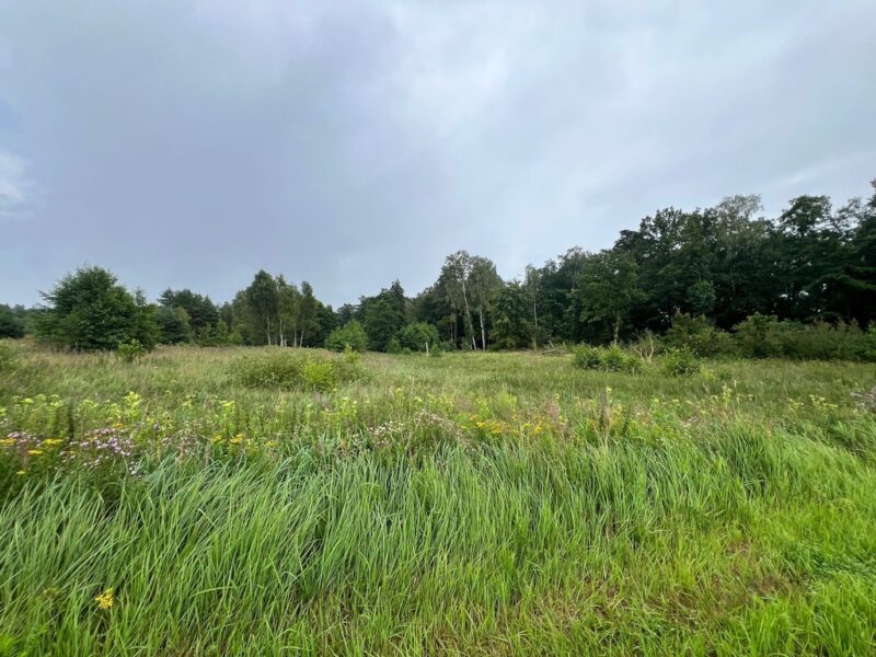 Storkowo, działka 3566 m2 z mediami