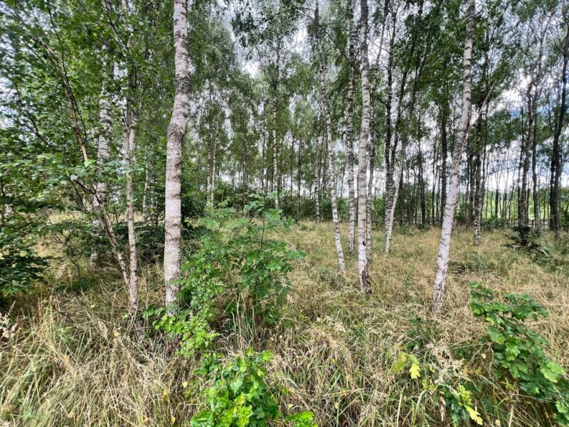Działka blisko Inska o pow. 3412 m2