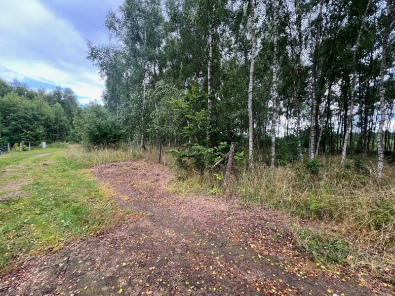 Działka blisko Inska o pow. 3412 m2