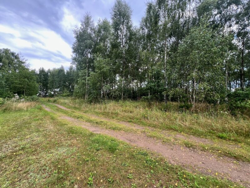 Działka blisko Inska o pow. 3412 m2