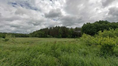 Działka siedliskowa z warunkami zabudowy