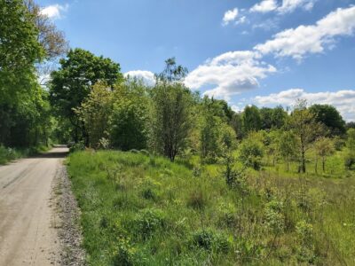 Działka budowlana nad jeziorem PILE