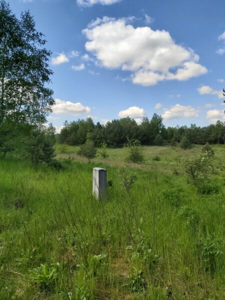 Działka budowlana nad jeziorem PILE