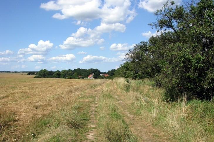 Barnisław, działka rolna o powierzchni 4,7 ha