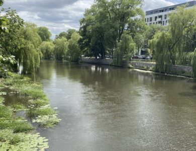 Wyjątkowe mieszkanie, TOP lokalizacja!