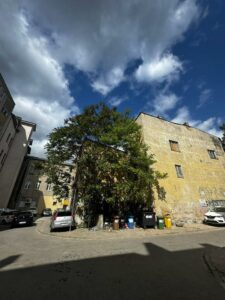 Kamienica w centrum Gorzowa