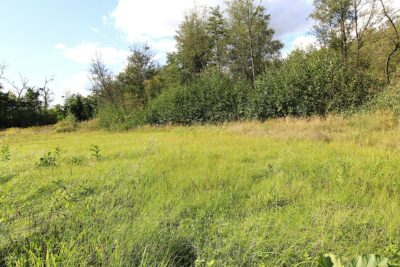 Sprzedam działkę budowlaną nad jeziorem-Choszczno
