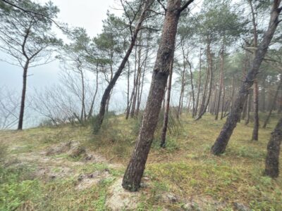Apartament z ogrodem 5 min od morza!