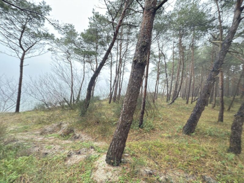 Apartament z ogrodem 5 min od morza!