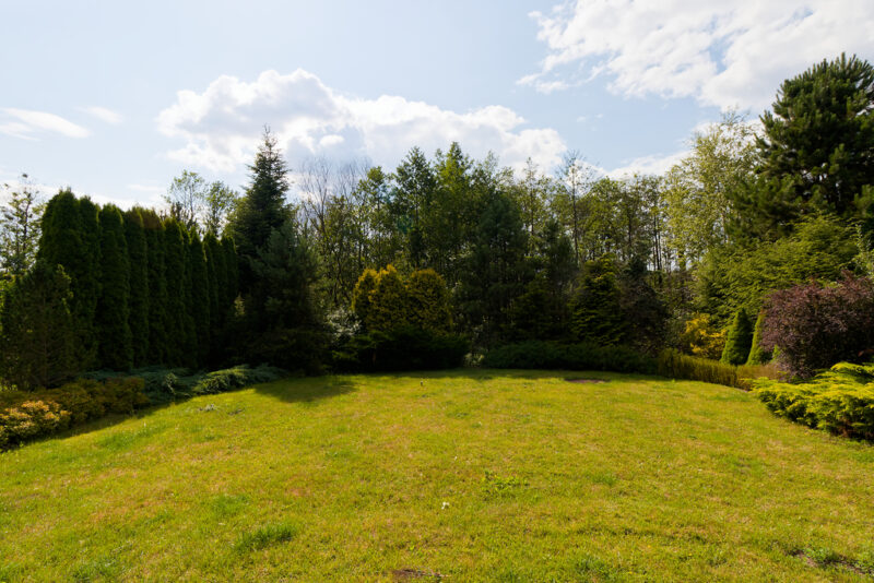 Luksusowy dom z basenem, sauną i pięknym ogrodem.