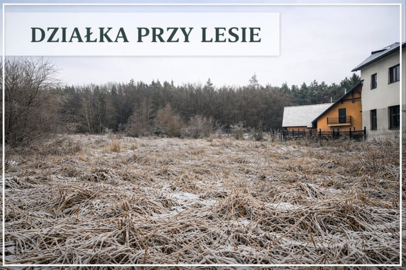 Na sprzedaż działka przy lesie