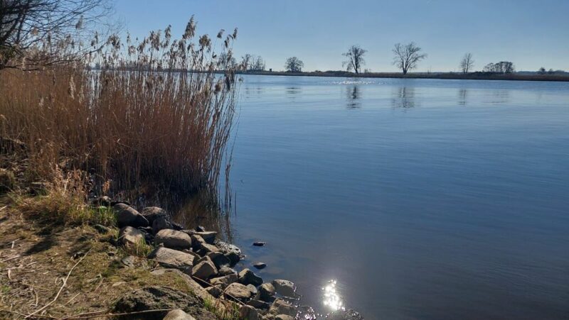 Dom z duszą nad Odrą - 180 m² do własnej aranżacji