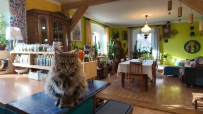Artystyczny zaułek w Ukiernicy – cisza i spokój