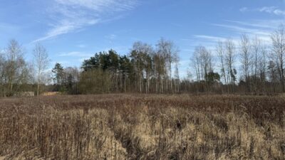 Działka 1552 m2 Żółwia Błoć - 44,91 zł/m2