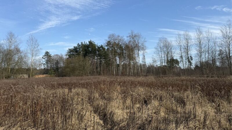 Działka 1552 m2 Żółwia Błoć - 44,91 zł/m2