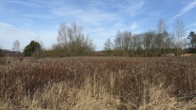 Działka 1552 m2 Żółwia Błoć - 44,91 zł/m2