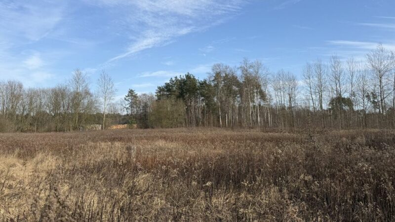 Działka 1552 m2 Żółwia Błoć - 44,91 zł/m2