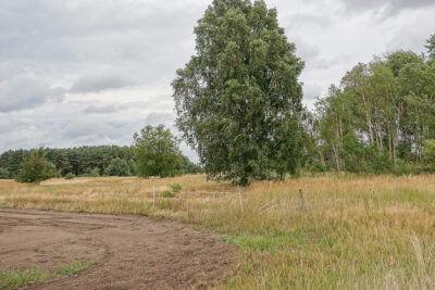 Lubczyna działka bud. rekr. 1352 m2, 50 zł/m2