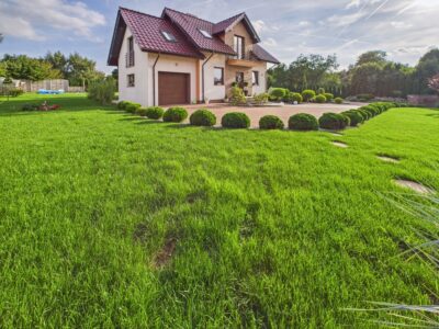 Nowoczesny dom z ogrodem i tarasem