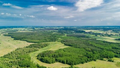 Wilczkowo - atrakcyjne działki ponad 1030m2 z WZ!